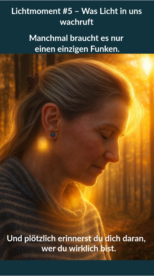 Vorschaubild Lichtmoment 5