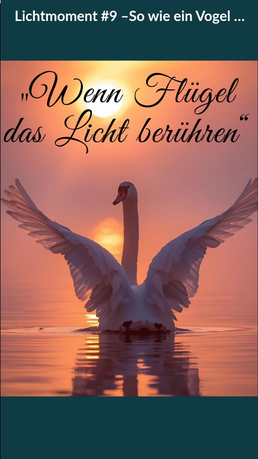 Vorschaubild Lichtmoment 9